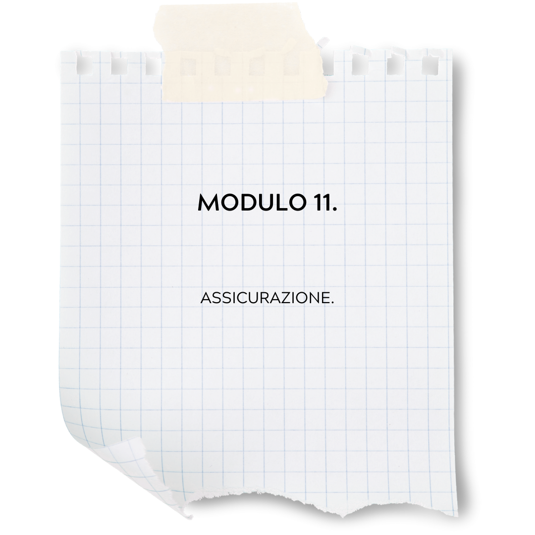 Modulo 11